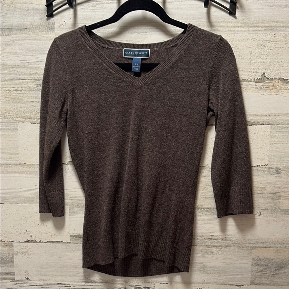 Karen Scott Brown V-Neck Sweater